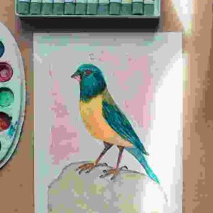 Shop Secondary Image